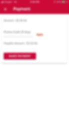 Payment Page.jpg