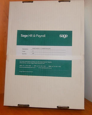 SAGE PASTEL LASER PAYSLIPS.jpg