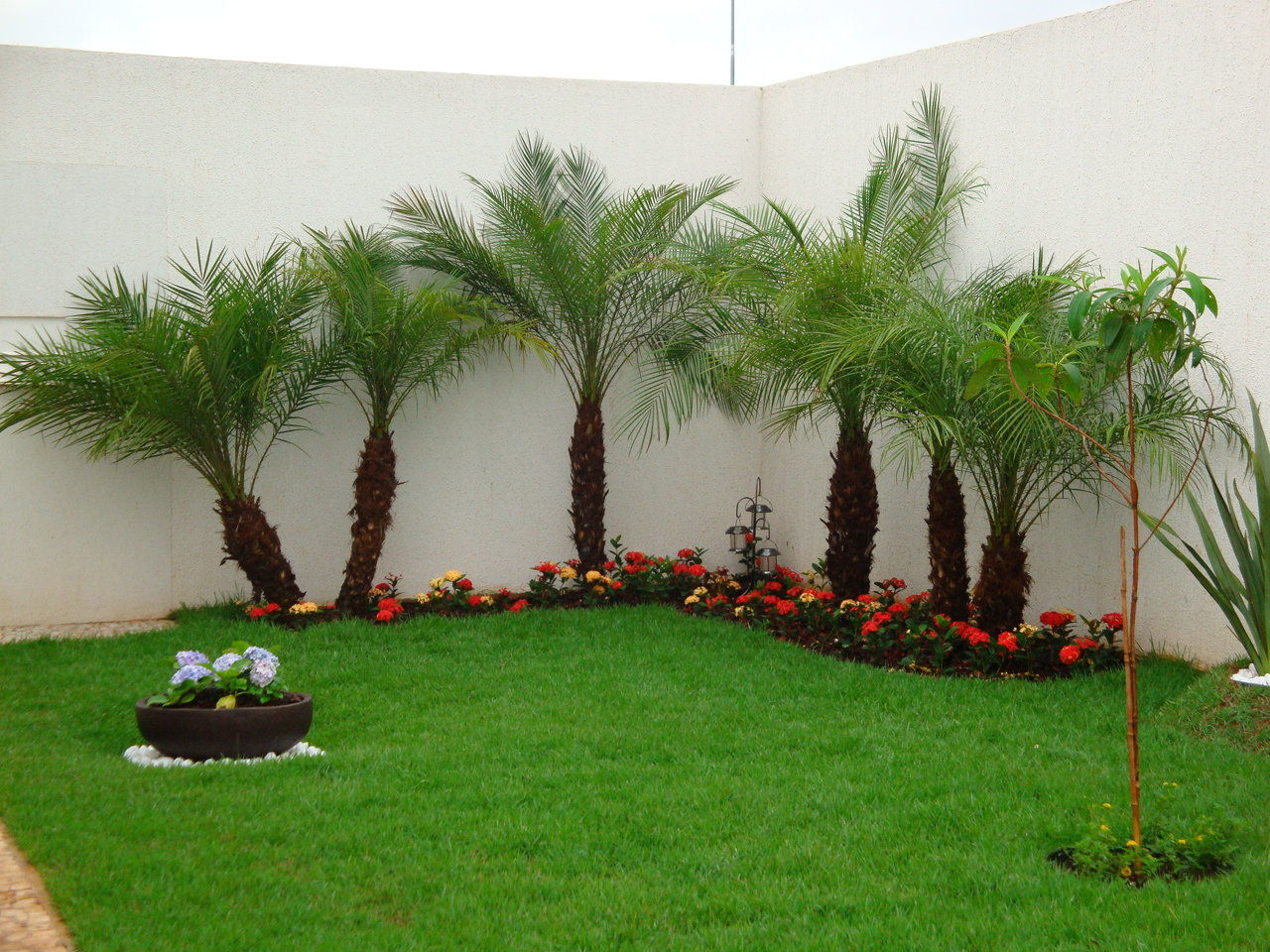In Plant Paisagismo Wixcom In Plant Paisagismo Wixcom