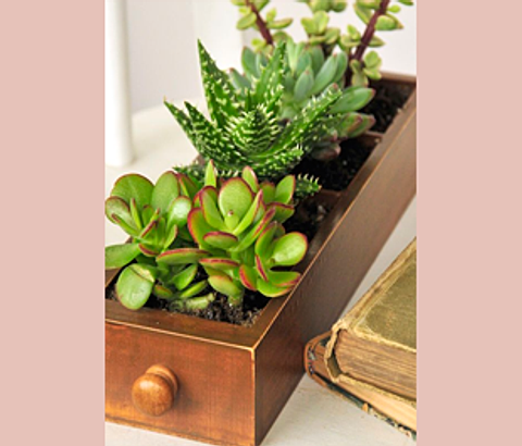 Ideas y Tendencias | RECICLA