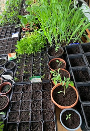 Employability and Development Skills in Land Based Studies
