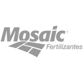 Client Logo 3