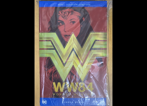 Ready Hot Toys MMS584 WW1984 1 6 WONDER WOMAN REGULAR EDITION Toys Buying Agent