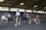 horseriding w3 (24).JPG