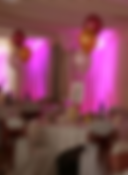 You can change the color of a room with Michael Taylor, San Luis Obispo wedding officiant, DJ and emcee of At Your Service Weddings uplighting!