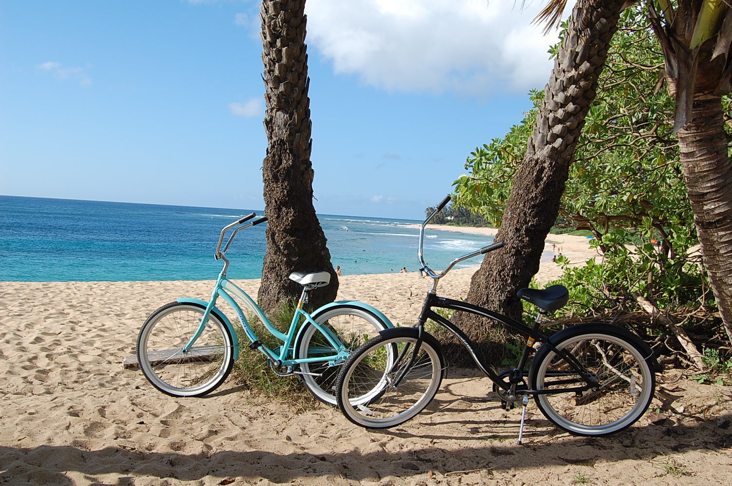 North Shore Bike Rentals l Haleiwa, Oahu, HI