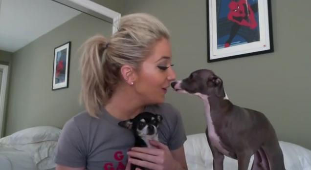 italian greyhound jenna marbles