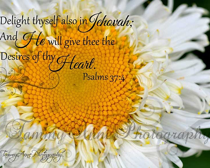 Tammy Anne Photography Scripture Prints
