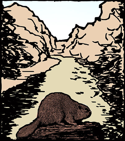 Beaver Kill & Beaver Wood cut.jpg