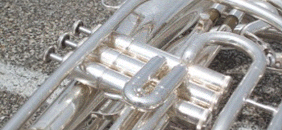 MARCHING BAND INFORMATION AND FEES