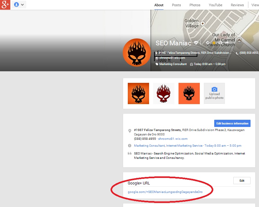 Google+ SEO Maniac Page