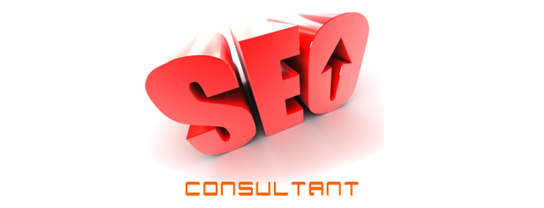 SEO Consultant