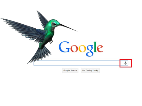 SEO Philippines On Google Hummingbird Update