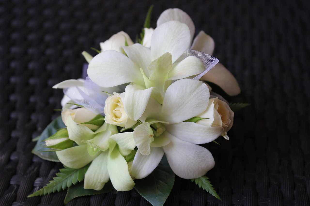 White Orchid Corsage