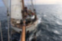 Expedition-0720_edited.jpg