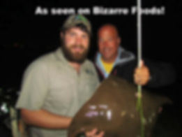 bowfishing with bizarre foods on the travel channel