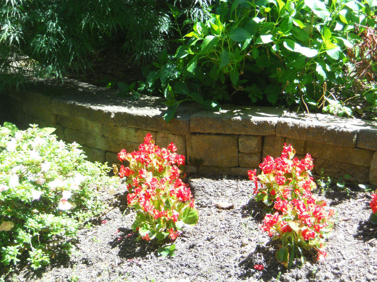 Faust Landscaping, Lawn Care, Exton, Chester County, PA, Landscaping