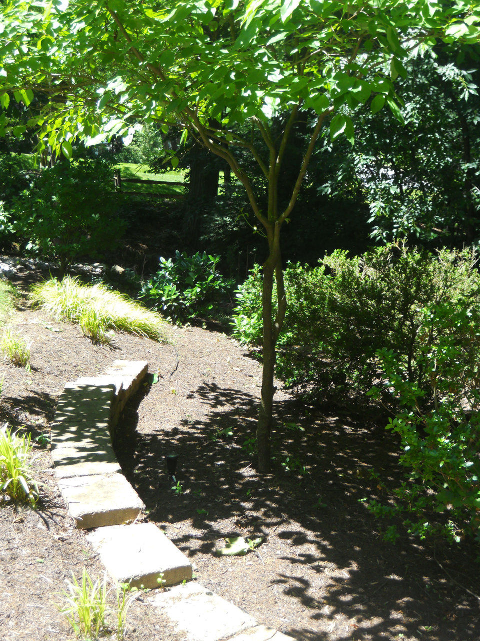 Faust Landscaping, Lawn Care, Exton, Chester County, PA, Landscaping