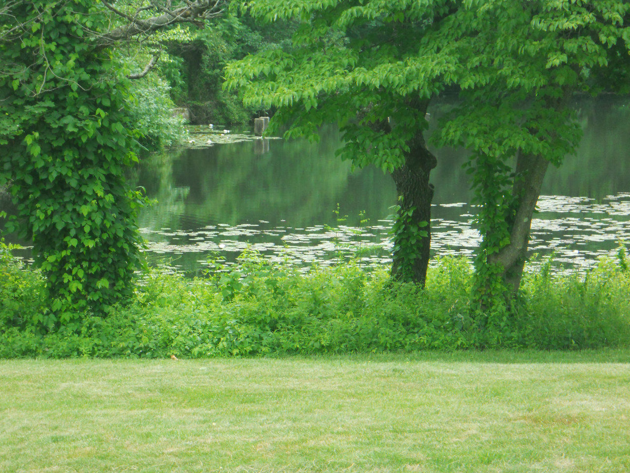 Faust Landscaping, Lawn Care, Exton, Chester County, PA, Landscaping