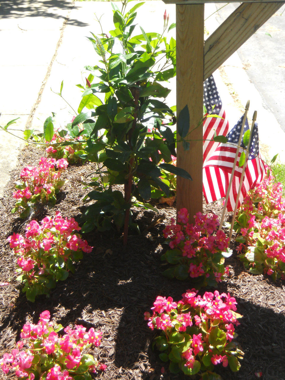 Faust Landscaping, Lawn Care, Exton, Chester County, PA, Landscaping