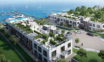 Verde Multi family Carribbean _edited_edited.jpg