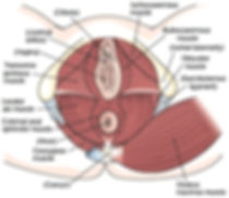 vaginal rejuvenation