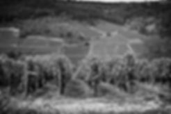 Fotolia_172189710_XXL (noir & blanc).jpg