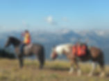 yellowstone-horse-rentals-6.jpg