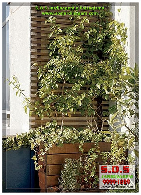 trelica jardim curitiba:Treliças e Jardim Vertical espaço de lazer sos jardinagem trelica jardim curitiba:Treliças e Jardim Vertical espaço de lazer sos jardinagem