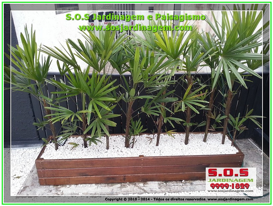 deck jardim telefone:2014-08-14_00079 S.O.S Jardinagem e Paisagismo.jpg deck jardim telefone:2014-08-14_00079 S.O.S Jardinagem e Paisagismo.jpg