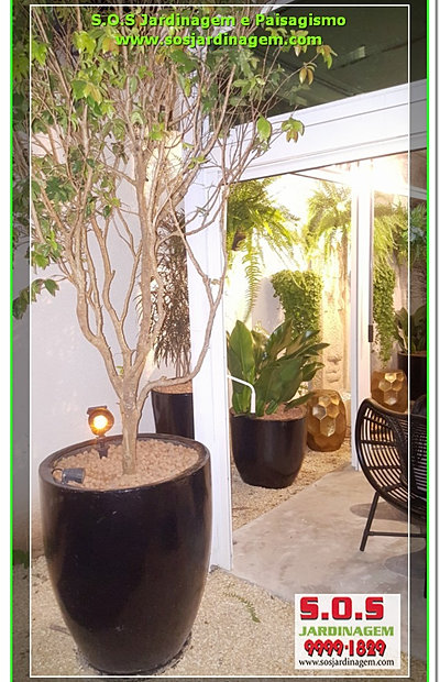 trelica jardim curitiba:Jardinagem e Paisagismo em Curitiba , jardinagem em Curitiba , trelica jardim curitiba:Jardinagem e Paisagismo em Curitiba , jardinagem em Curitiba ,