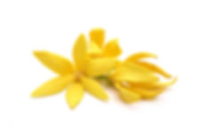 AdobeStock_244651228.jpeg