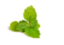AdobeStock_100003968.jpeg