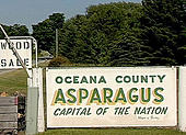 National Asparagus Festival