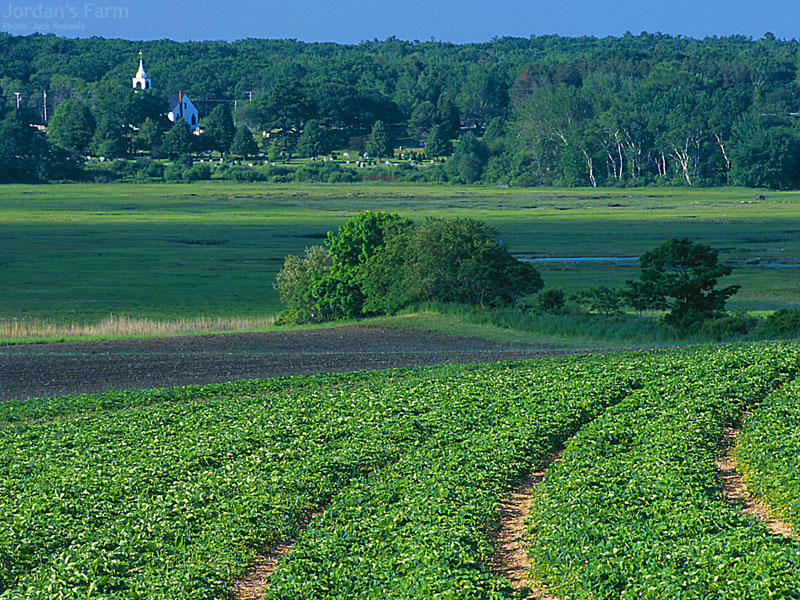 Jordans Farm