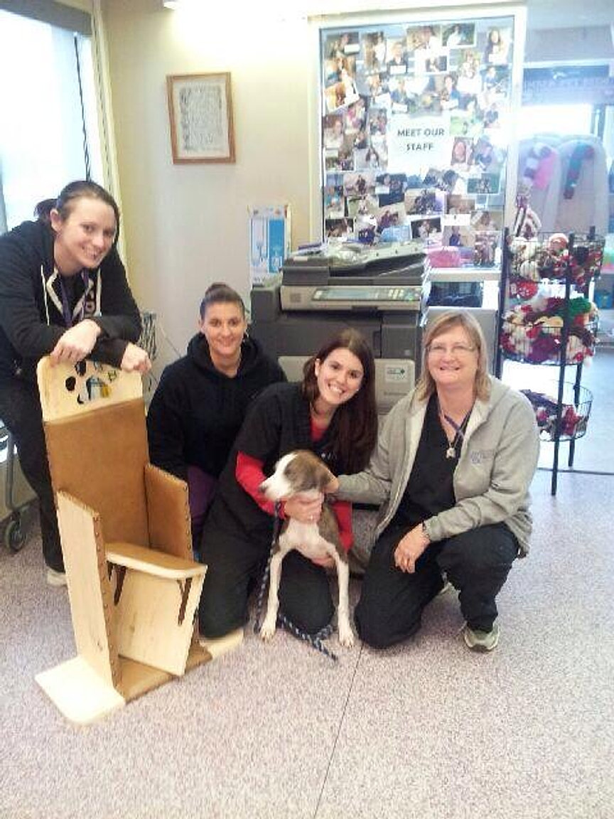 Bailey Chairs for dogs, canine megaesophagus, megaesop OUR CHAIRS