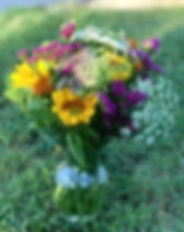friendly flower.jpg