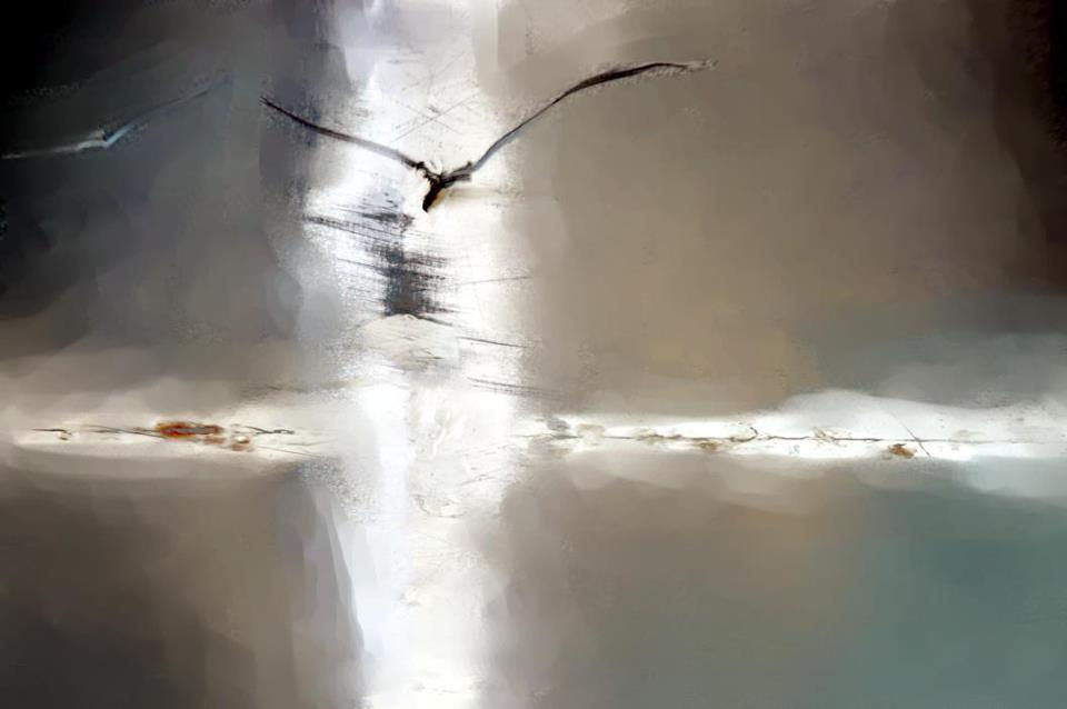 Image result for Yoel Tordjman