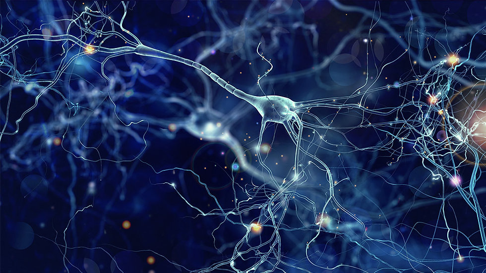 fs-cells-of-the-brain.jpg