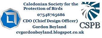   ​​​​Gordon Boyland ​ Graphic Designer for hire​​.