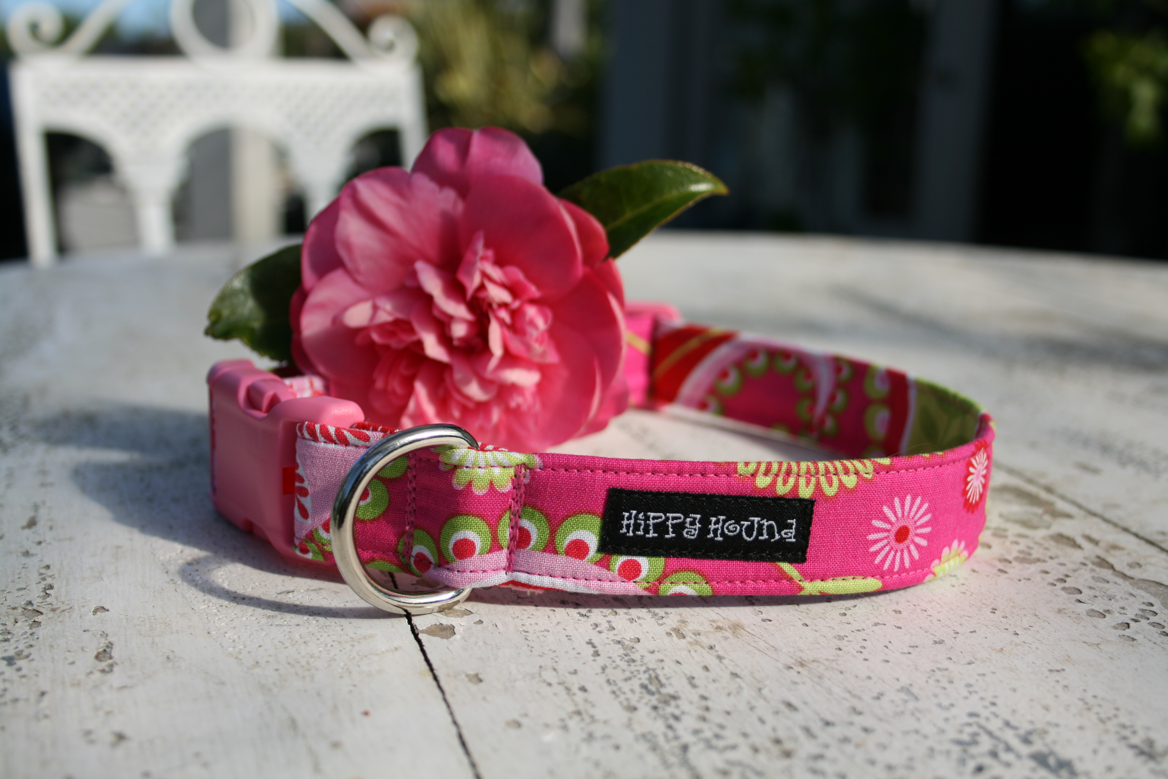 Handmade designer & limited edition dog collars New Zealand