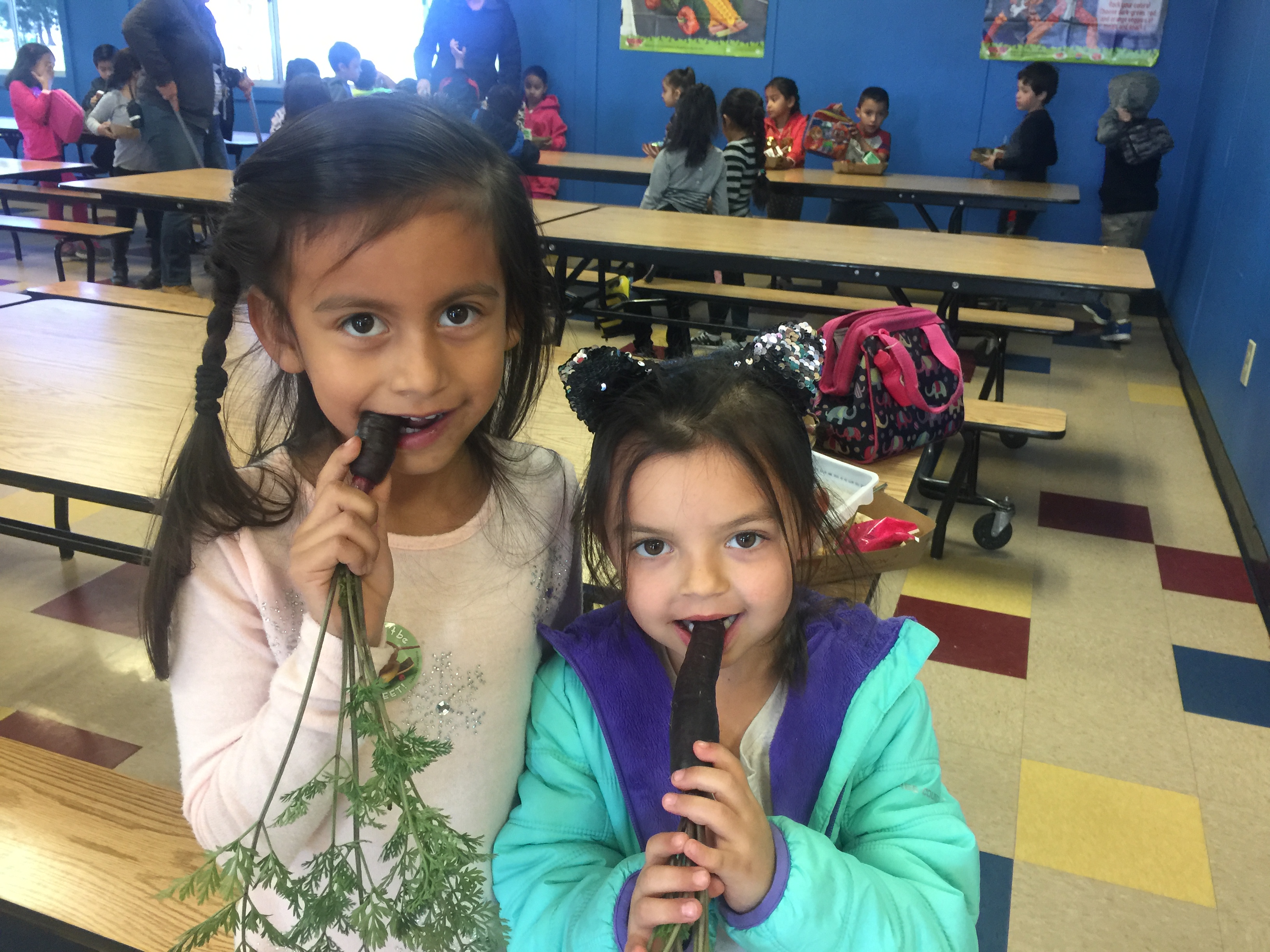 Save the date for Winters Farm to School Summer Fundraiser