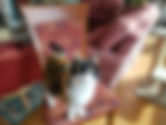 conv-attach-8022387-XJ4yFHfUsrsnxws5.jpe