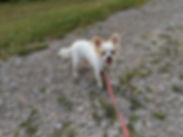 conv-attach-12030764-vlZpcFmgyeft0QWS.jp
