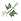 Monarques_vert(2).png