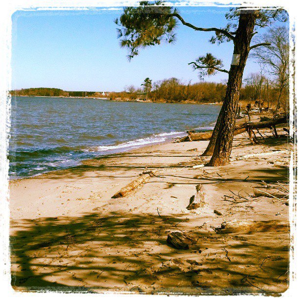 Kent Island Beach Cleanups Our Story