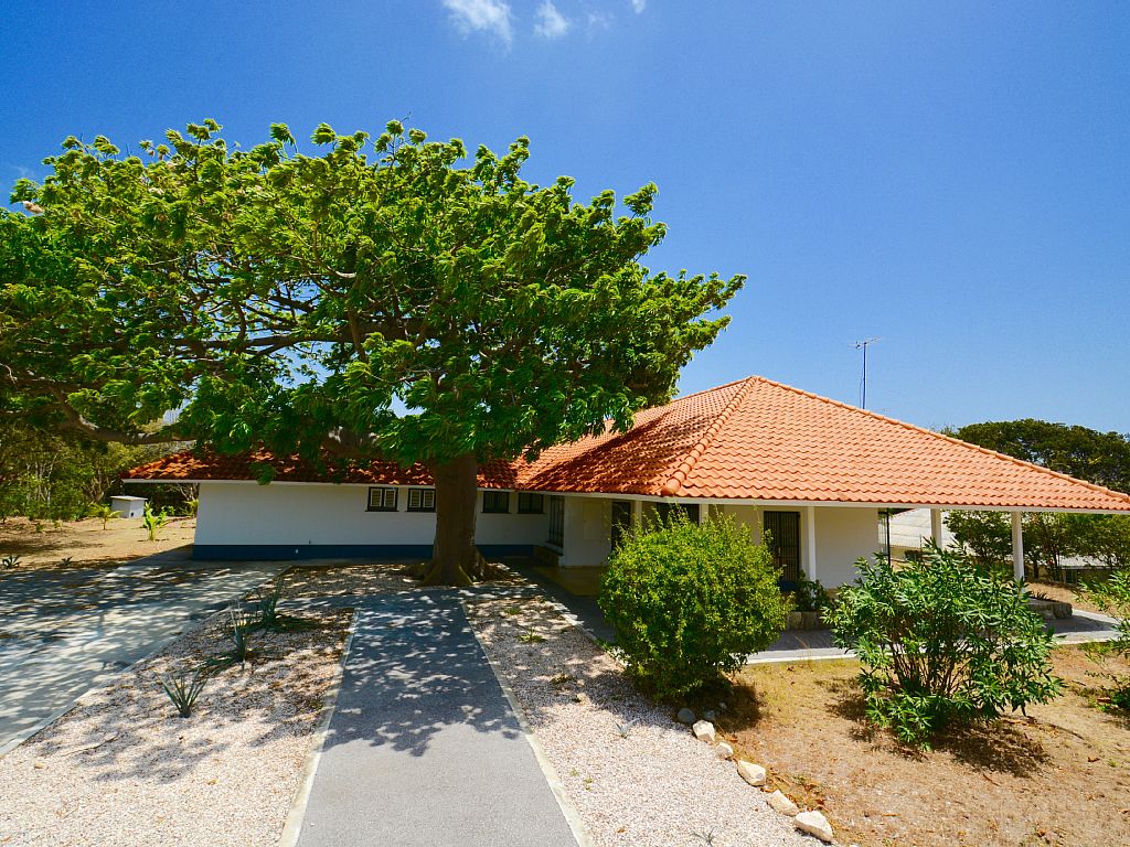 Curacao vakantiehuis: de leukste vakantiehuizen op curaçao!
