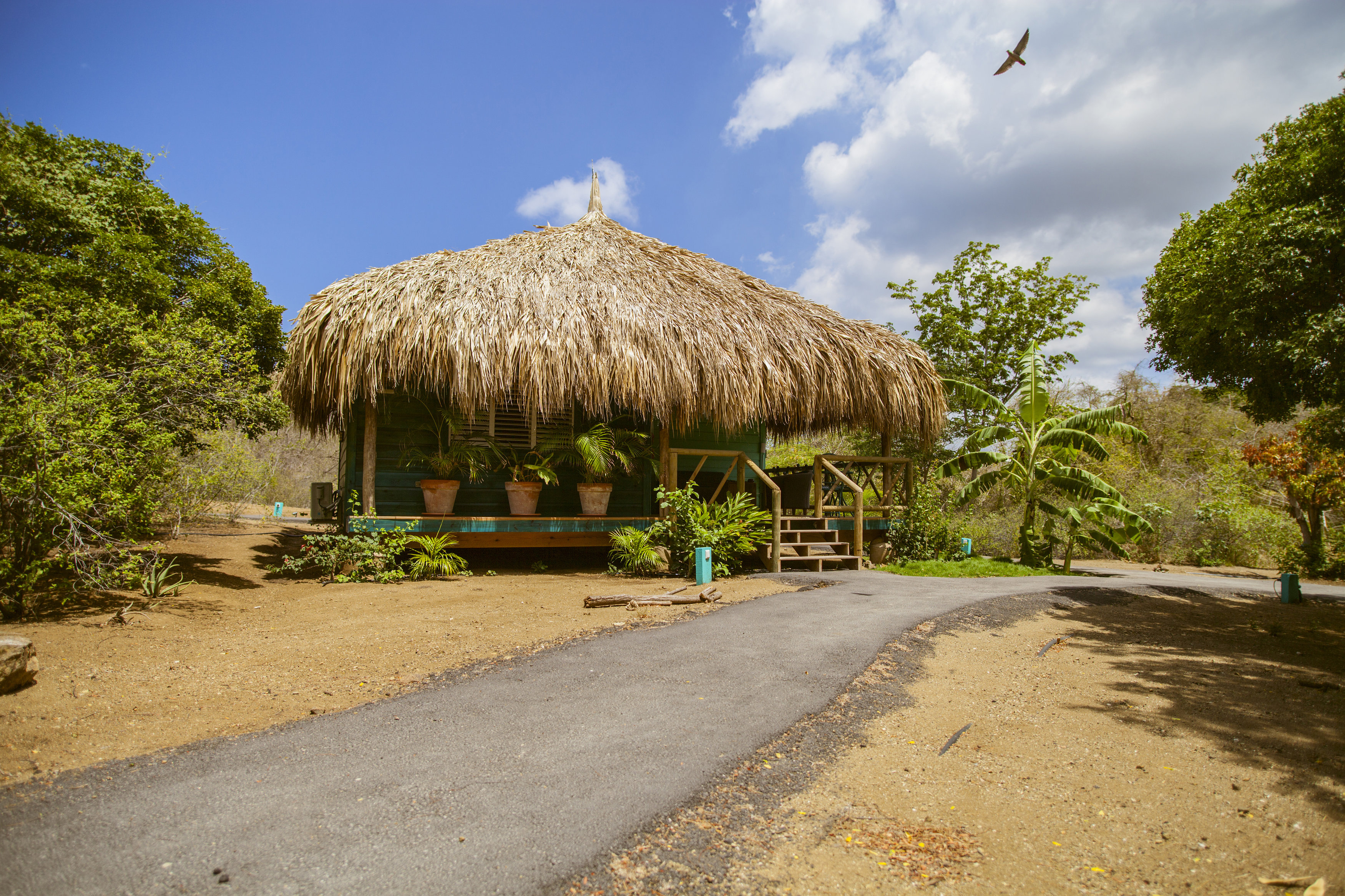 Curacao vakantiehuis: de leukste vakantiehuizen op curaçao!