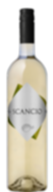 Scancio_Branco.png