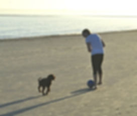 Dog Trainer St Simons